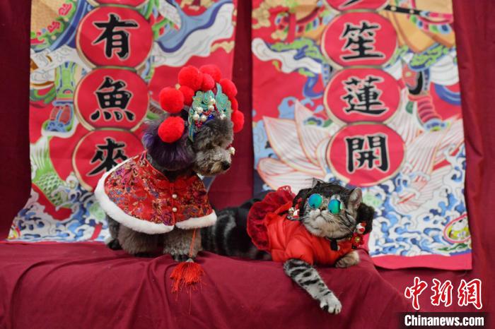 新年控え、ペット寫真撮影という新たなニーズ高まる　吉林省長(zhǎng)春