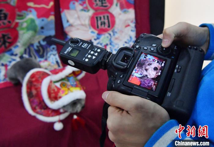 新年控え、ペット寫真撮影という新たなニーズ高まる　吉林省長春