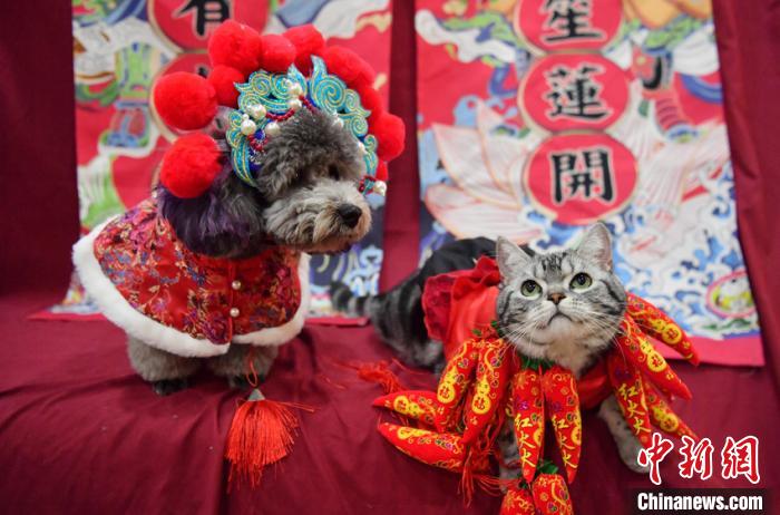 新年控え、ペット寫真撮影という新たなニーズ高まる　吉林省長(zhǎng)春