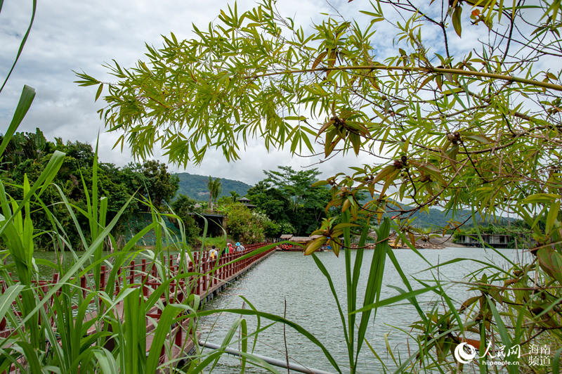 海南省保亭でアウトドア?エクストリームスポーツと民泊體験イベントが開催