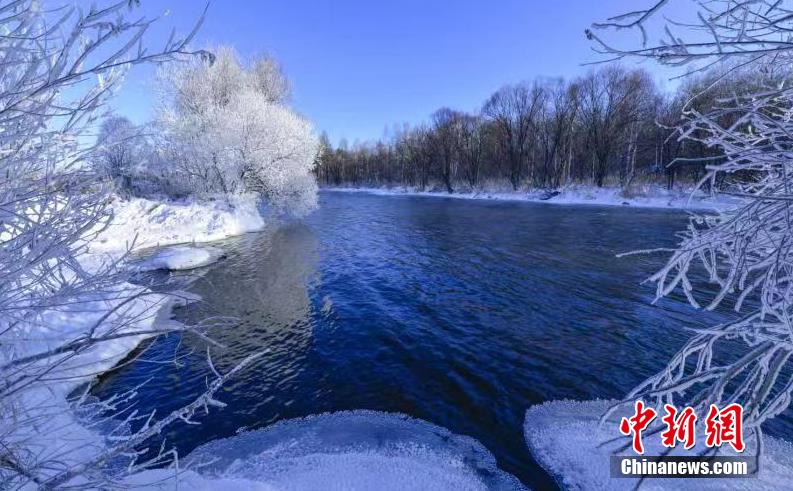 神秘的な美しさたたえる一面の樹(shù)氷　黒竜江省黒河市