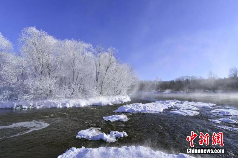 神秘的な美しさたたえる一面の樹(shù)氷　黒竜江省黒河市