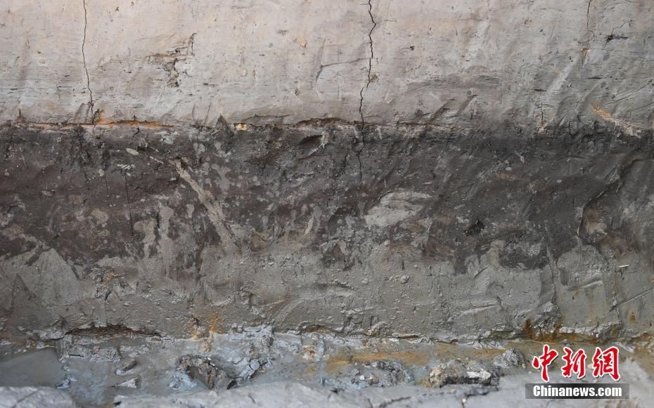 浙江省、世界最古の古代稲田を発見(jiàn)