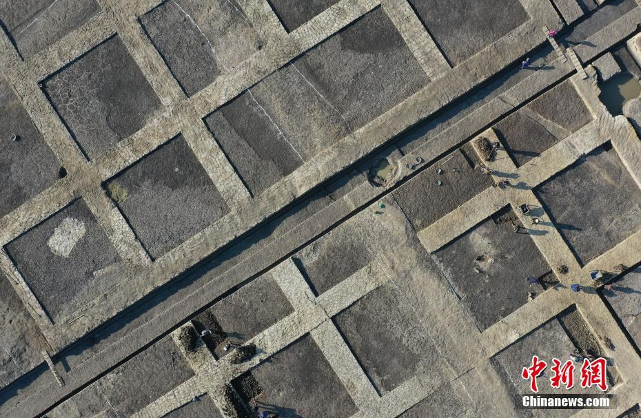 浙江省、世界最古の古代稲田を発見