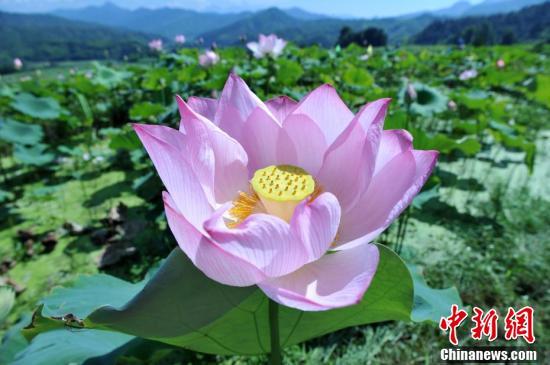 金銀同様の価値がある豊かな自然広がる福建省三明