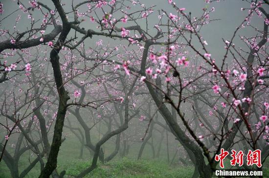 金銀同様の価値がある豊かな自然広がる福建省三明