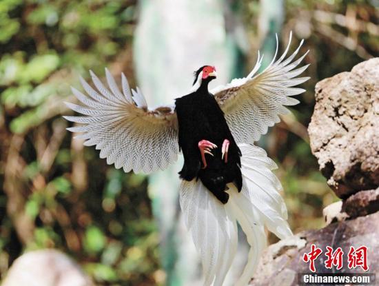 金銀同様の価値がある豊かな自然広がる福建省三明