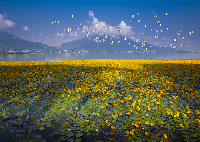 四川邛海國(guó)家濕地公園の様子（空撮?葉昌雲(yún)）。