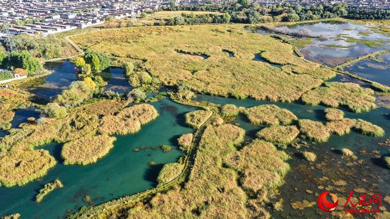 都市をしっかり保護(hù)する「ラサの肺」拉魯濕地　チベット