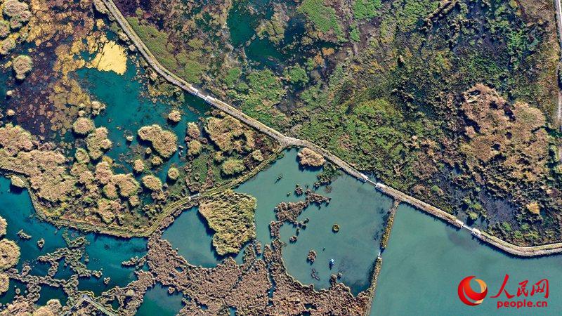 都市をしっかり保護する「ラサの肺」拉魯濕地　チベット