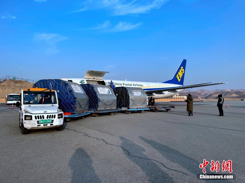 青蔵高原で積載容量最大となる航空輸送専用路線が開(kāi)通