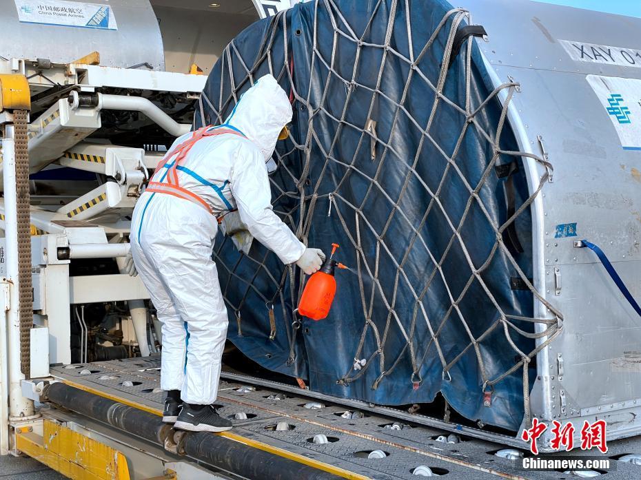 青蔵高原で積載容量最大となる航空輸送専用路線が開通