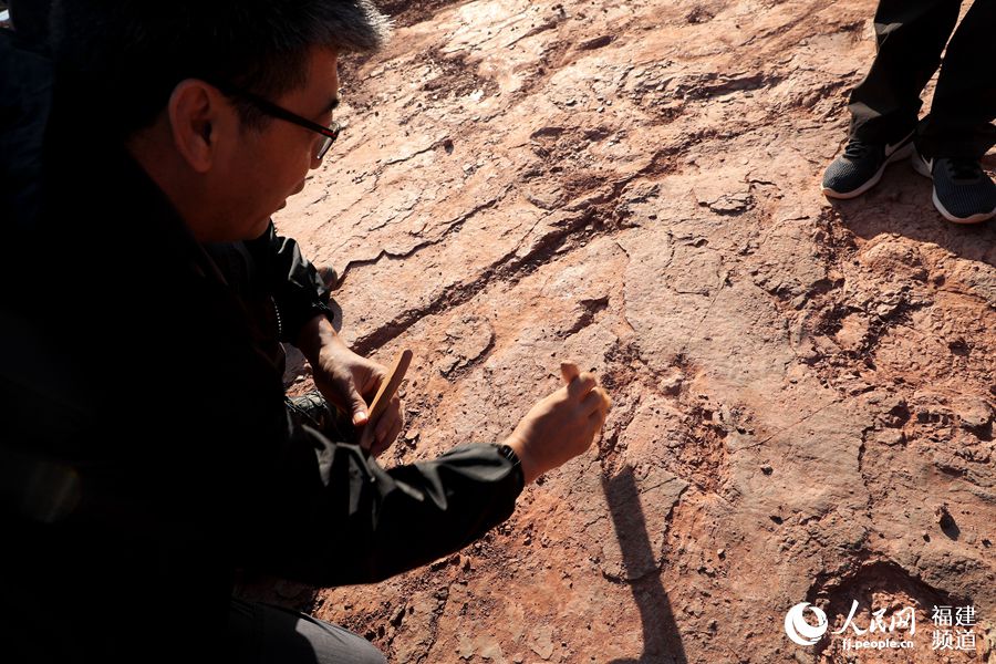 福建省で初となる恐竜の活動(dòng)記録発見　足跡240個(gè)以上