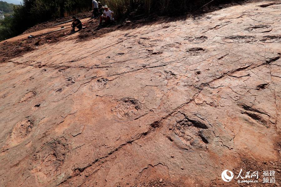 福建省で初となる恐竜の活動記録発見　足跡240個以上
