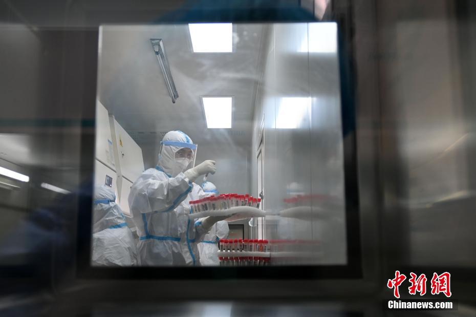 河北石家荘のPCR検査をサポートする「瞬間測定スピード検査室」