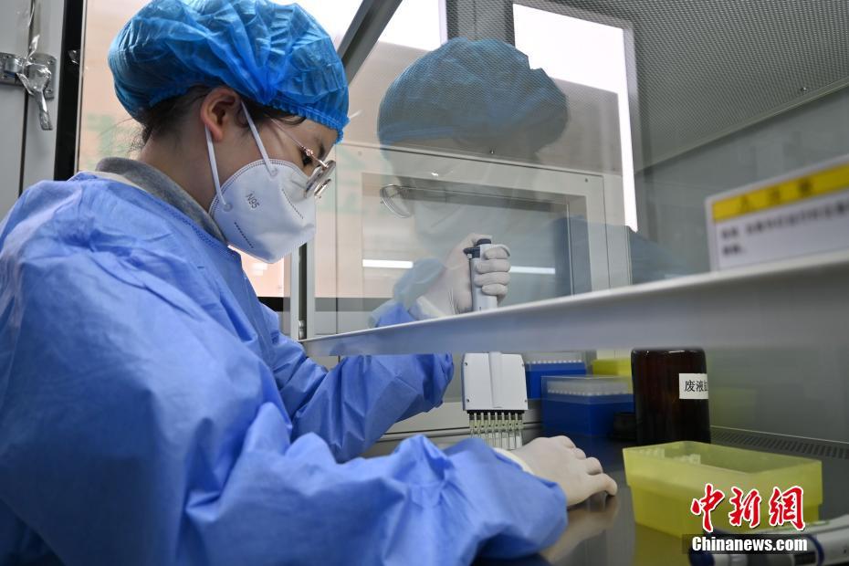 河北石家荘のPCR検査をサポートする「瞬間測定スピード検査室」