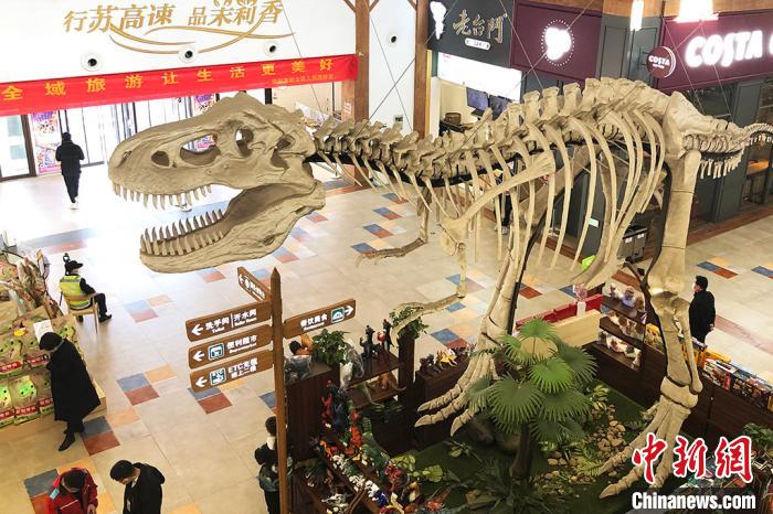 まるでジュラシック?パーク？ネットで人気のサービスエリア　江蘇省常州