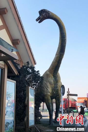 まるでジュラシック?パーク？ネットで人気のサービスエリア　江蘇省常州