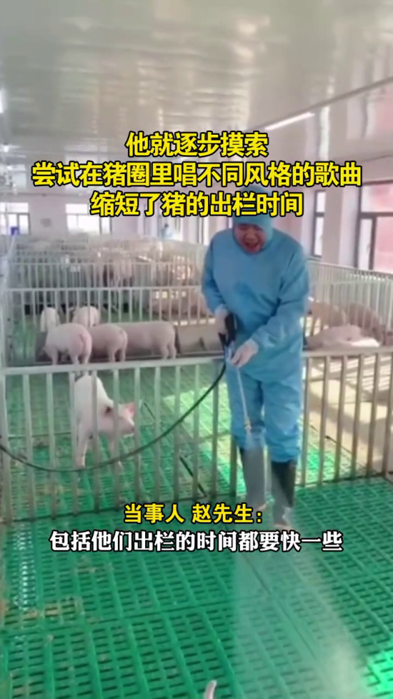 歌聲に思わずブタもウットリ？　黒竜江省