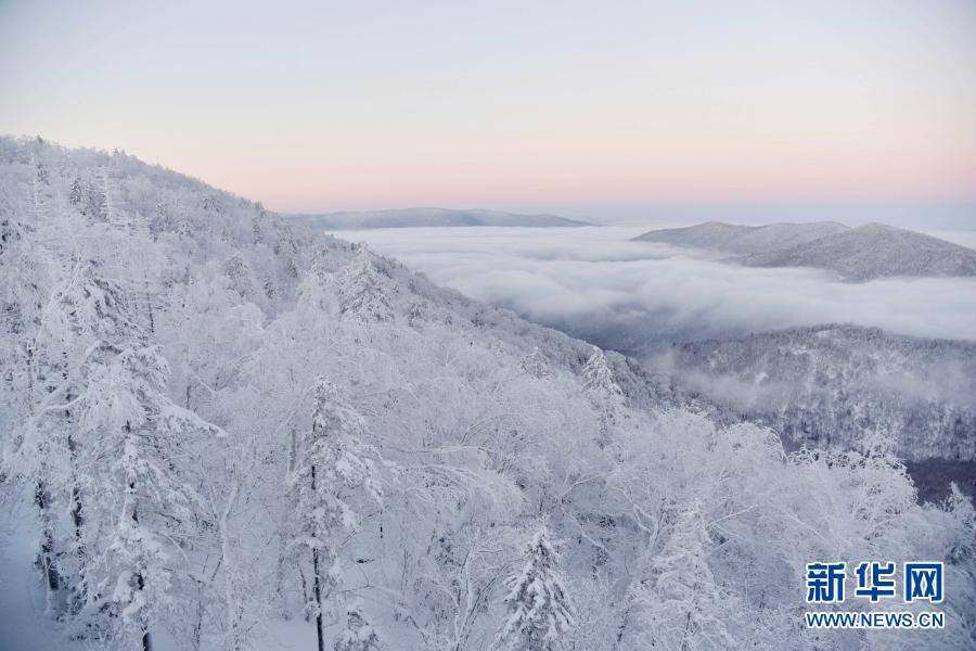 1月22日、雪郷國家森林公園の冬景色（撮影?張春祥）。