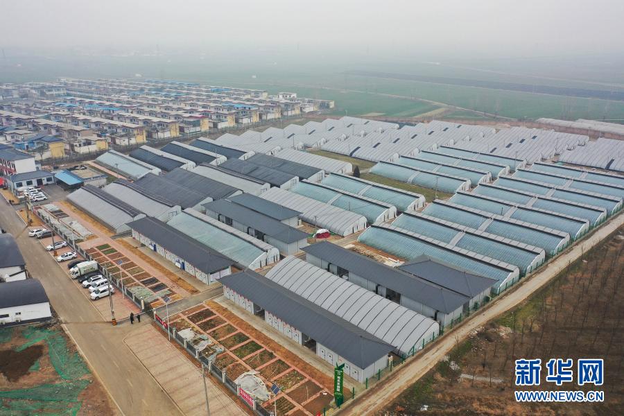 「スマートプレハブ」で食用きのこ産業(yè)の発展を後押し 河南省