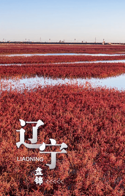 2月2日は「世界濕地の日」　中國の濕地を訪ねて