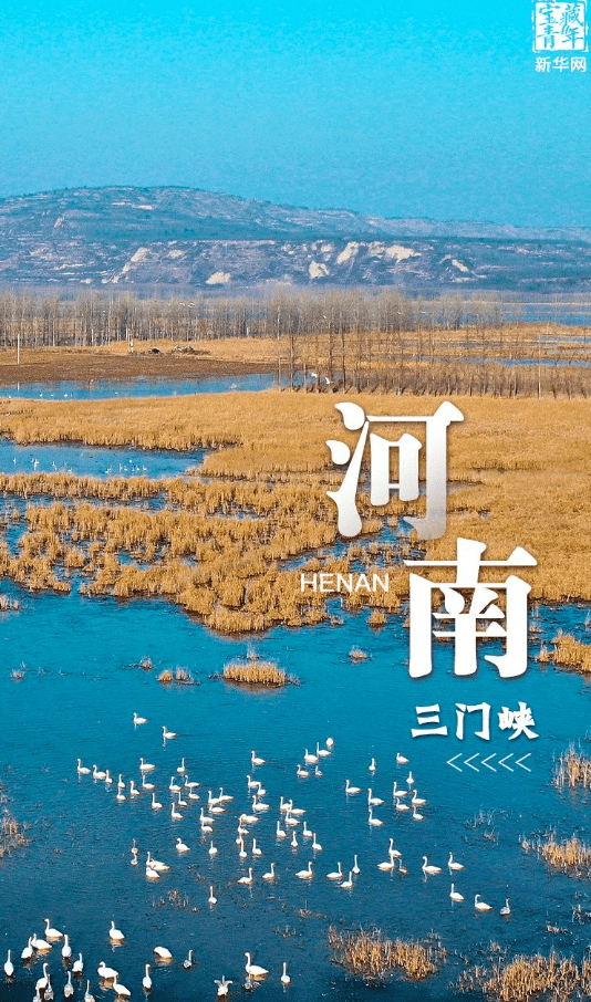 2月2日は「世界濕地の日」　中國の濕地を訪ねて