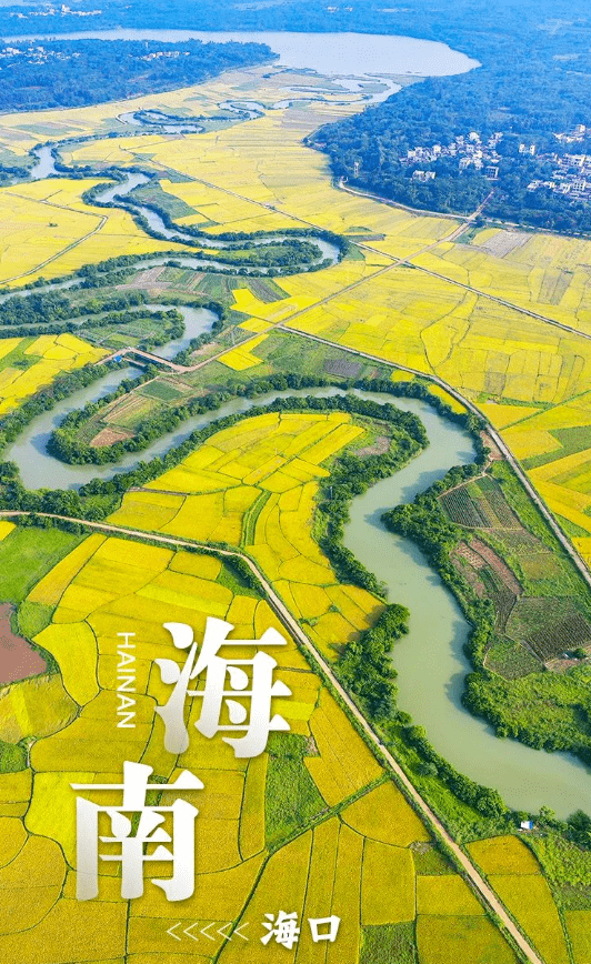 2月2日は「世界濕地の日」　中國の濕地を訪ねて