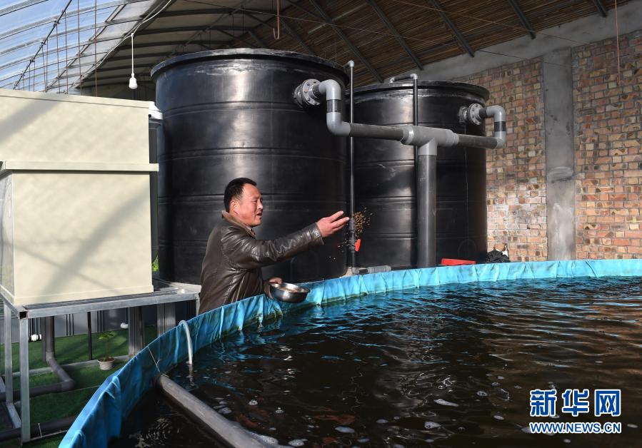 寧夏の固原市、魚と野菜が共存する農業(yè)新モデルを模索