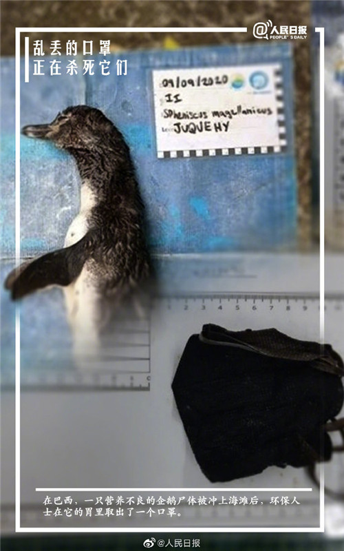 廃棄マスクが新たな海洋ゴミに、分解には400?500年必要