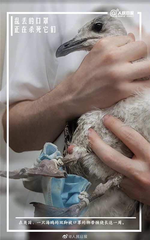 廃棄マスクが新たな海洋ゴミに、分解には400?500年必要