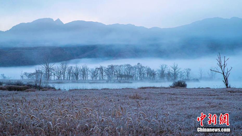 降雪後に晴れ上がった大九湖の靜かで澄み切った幻想的な風景