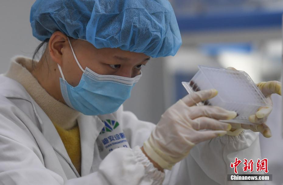 浙江省の民間企業(yè)、春節(jié)連休中もフル稼働 春運(yùn)期間のPCR検査をサポート