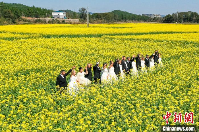 江西省內の菜の花畑が次々と満開に