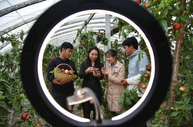 中國(guó)の農(nóng)民の所得増加スピードが11年連続で都市部住民を上回る