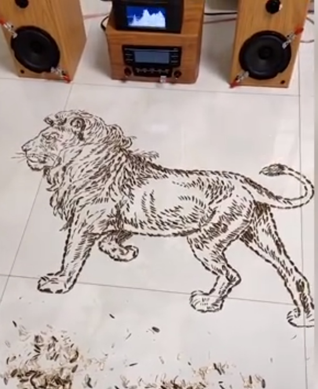 ヒマワリの種を食べながらアート作品を作っちゃおう！　湖南省