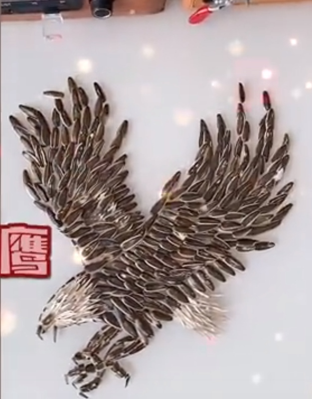 ヒマワリの種を食べながらアート作品を作っちゃおう！　湖南省