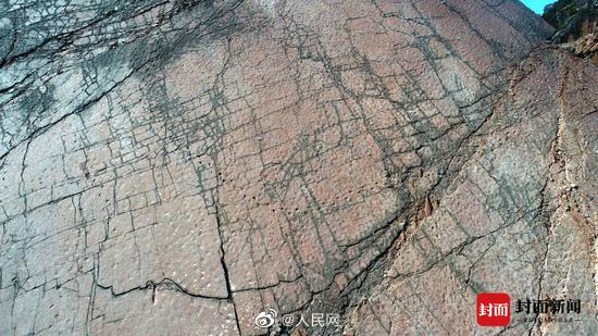 「中國最大の恐竜の足跡地が四川涼山に存在」古生物學(xué)者が確認(rèn)