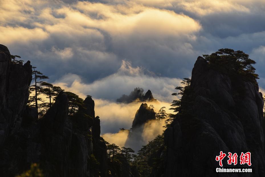 安徽省黃山にふんわりたなびく幻想的な雲海