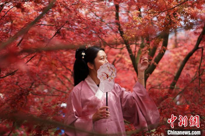 郷村の「美しい経済」を明るく照らす春もみじ　重慶市巴南