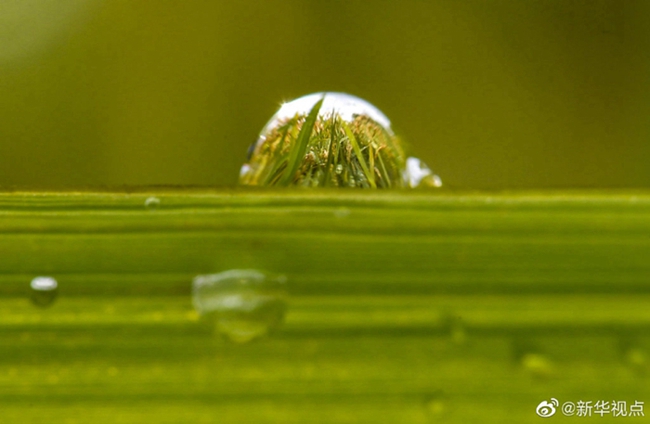 水を大切に！3月22日は「世界水の日」