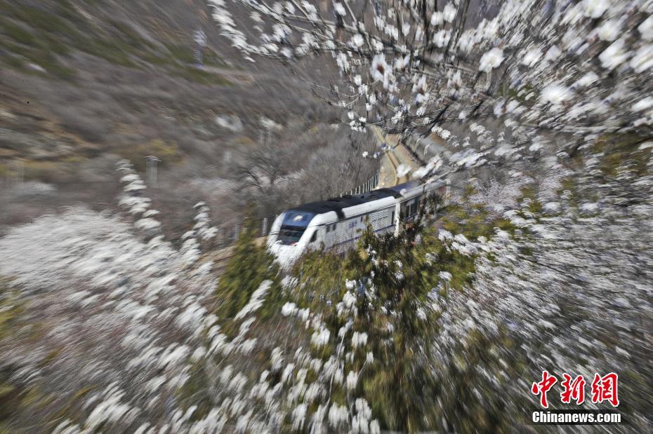 北京居庸関の「花の?！工蜃撙陹iける高速鉄道?和諧號(hào)