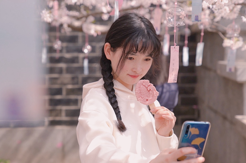 満開迎えた「中日友好の証」黿頭渚の桜　江蘇省無(wú)錫