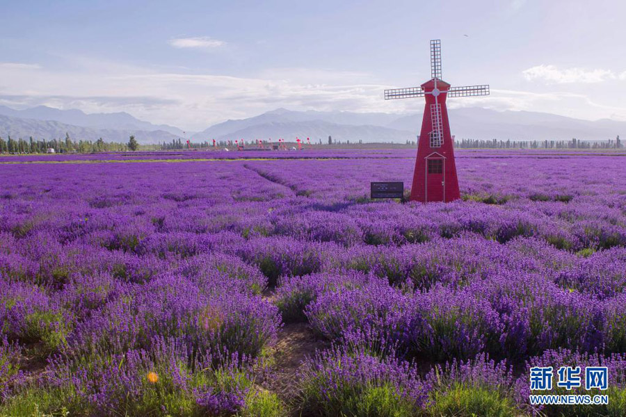 新疆のとっておきの風景寫真