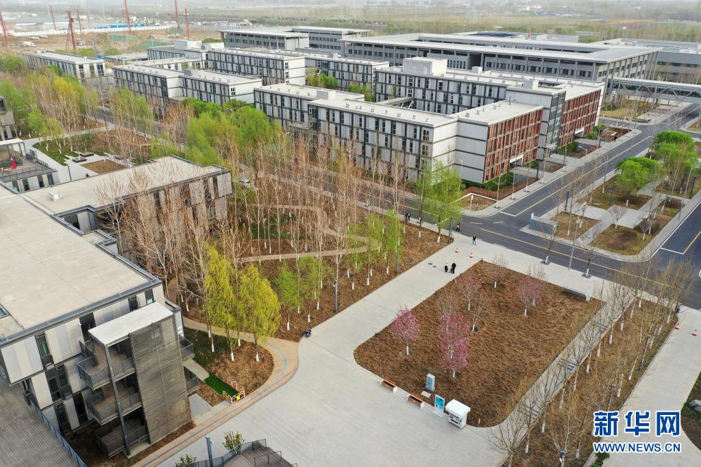 雄安新區(qū)に広がる春景色　河北省