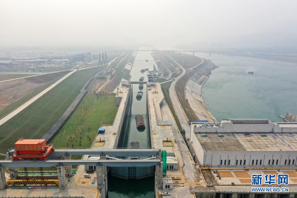 広西大藤峽水利ターミナルの水上輸送における効率と利益が大幅アップ