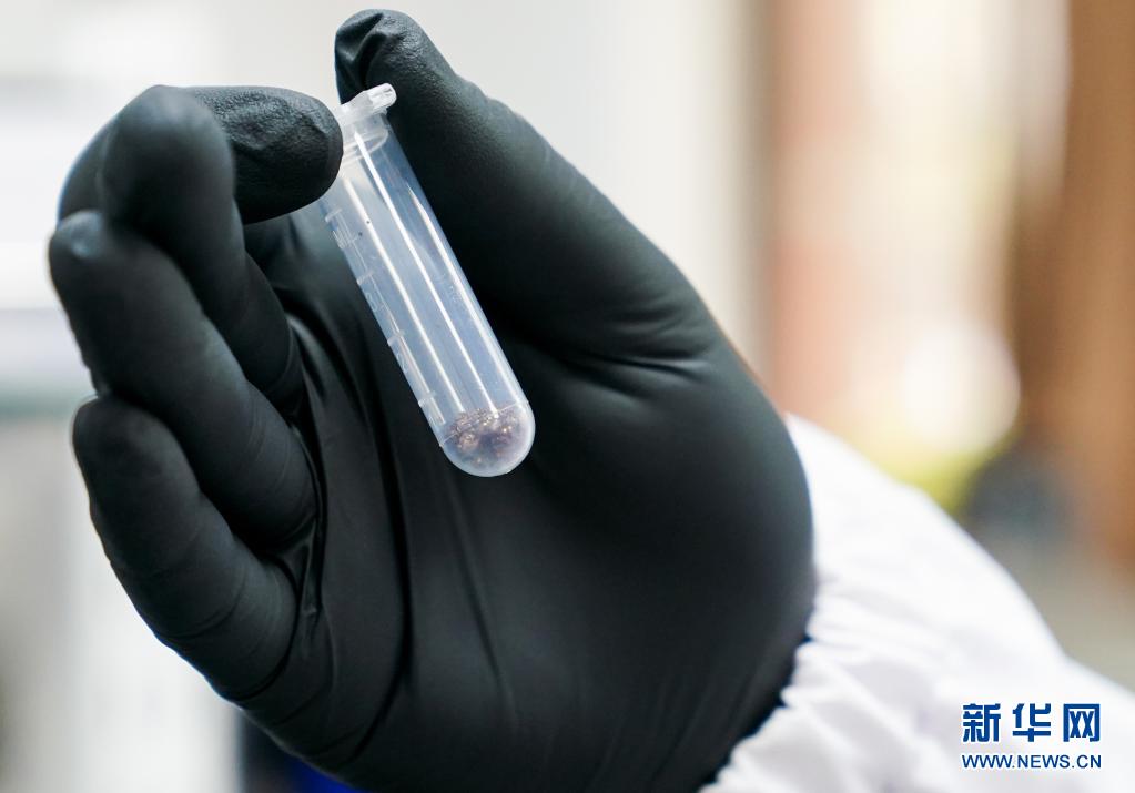 中國の科學者、「光觸媒貴金屬溶解」技術を開発