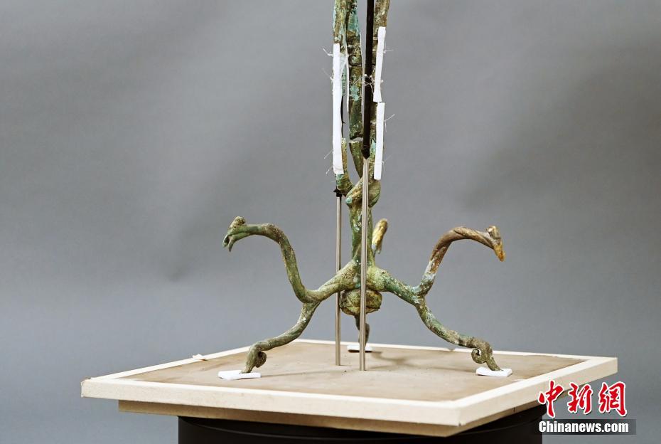 カメラがとらえた三星堆遺跡三號青銅神樹の第一段階修復(fù)狀況　四川省