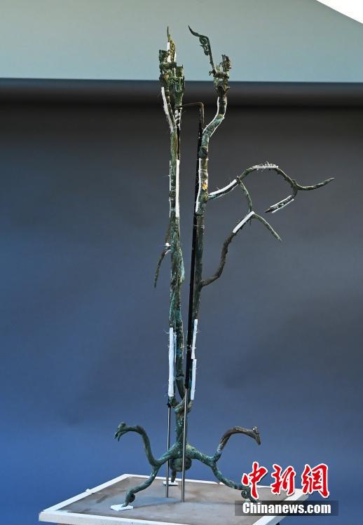 カメラがとらえた三星堆遺跡三號(hào)青銅神樹(shù)の第一段階修復(fù)狀況　四川省