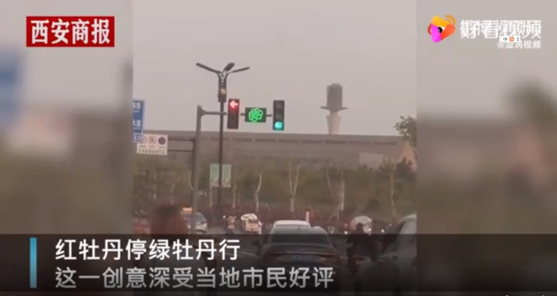 河南省洛陽(yáng)市の信號(hào)機(jī)が牡丹の花模様に